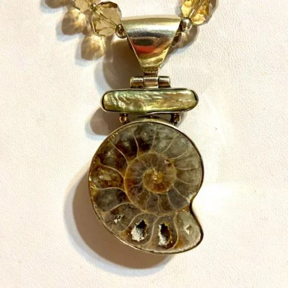 💖Nautilus Seashell Necklace Set. Set In Sterling Silver, 16 Inches Long /NS161